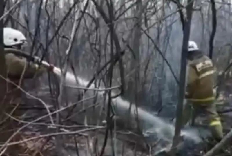 Возгорание сухостоя ликвидировали на окраине Уральска