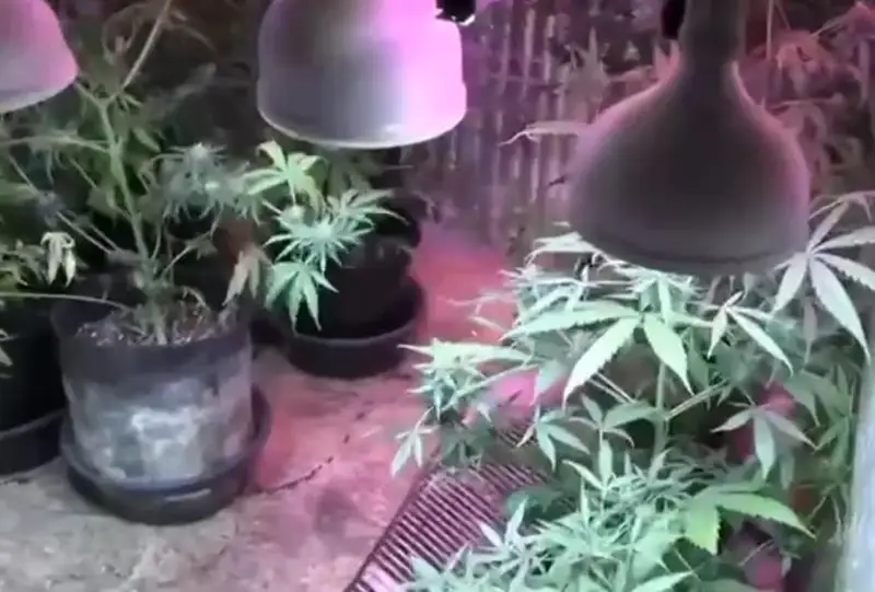 Нарколабораторию на крыше многоэтажки обнаружили в ЗКО