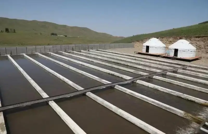 Жамбил вилоятида балиқчилик орқали туризмни ривожлантириш чоралари кўрилади