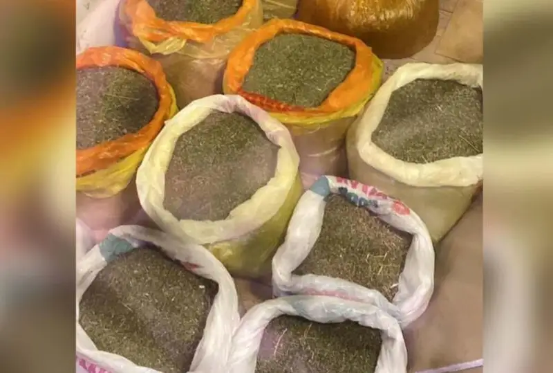 Три канала поставки синтетических наркотиков выявили в Мангистауской области