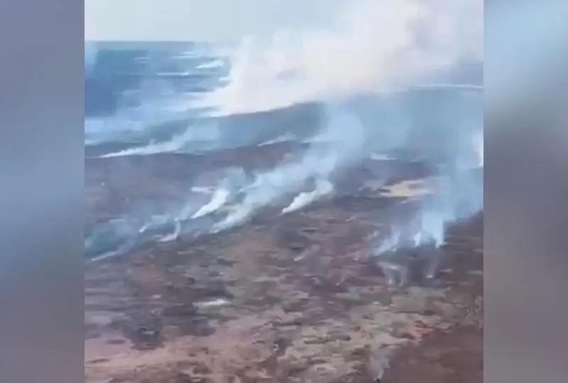 Площадь пожара на побережье Каспия сократилась до 18 га