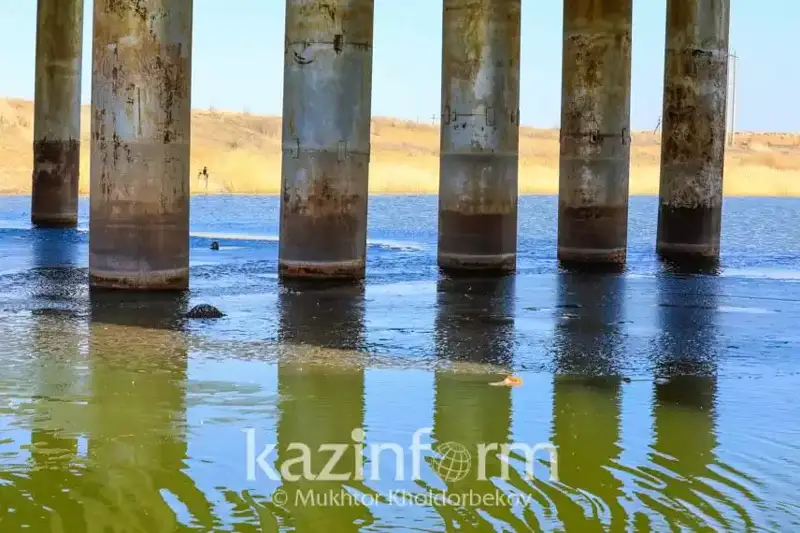 Три объекта водного хозяйства в Жетысуской области находятся в аварийном состоянии – сенатор