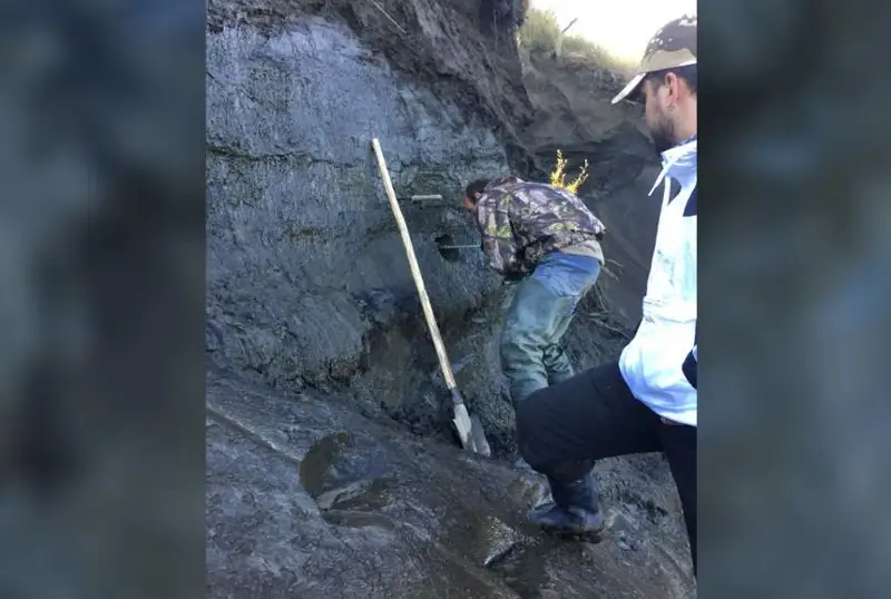 Французский ученый «оживил» древний зомби-вирус