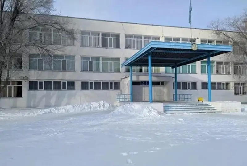 Около 20 школ Темиртау перевели на дистанционное обучение