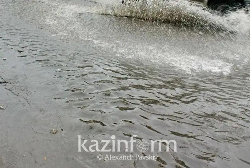 Обильные осадки спровоцировали подтопление четырех улиц в селе в области Жетысу