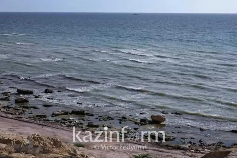 Mınıstrlik Kaspıı teńizindegi ıtbalyq ólimine qatysty túsinikteme berdi
