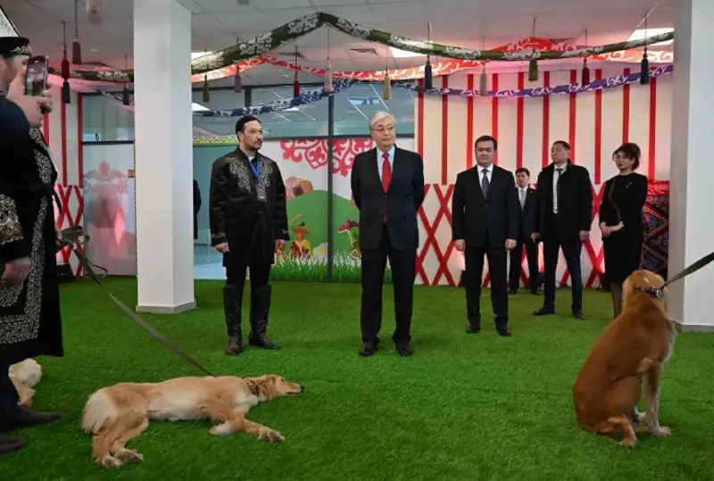 Prezıdent tazy ıtterdiń kórmesin tamashalady