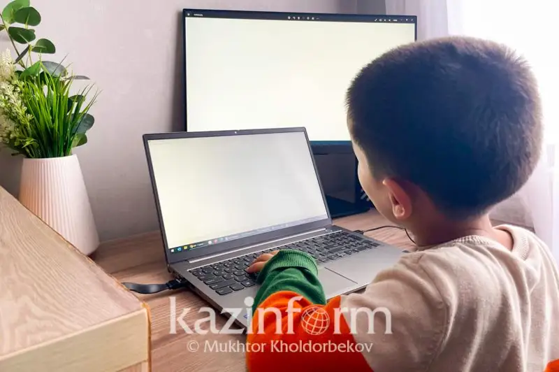 Школьников в двух районах Абайской области перевели на дистанционное обучение
