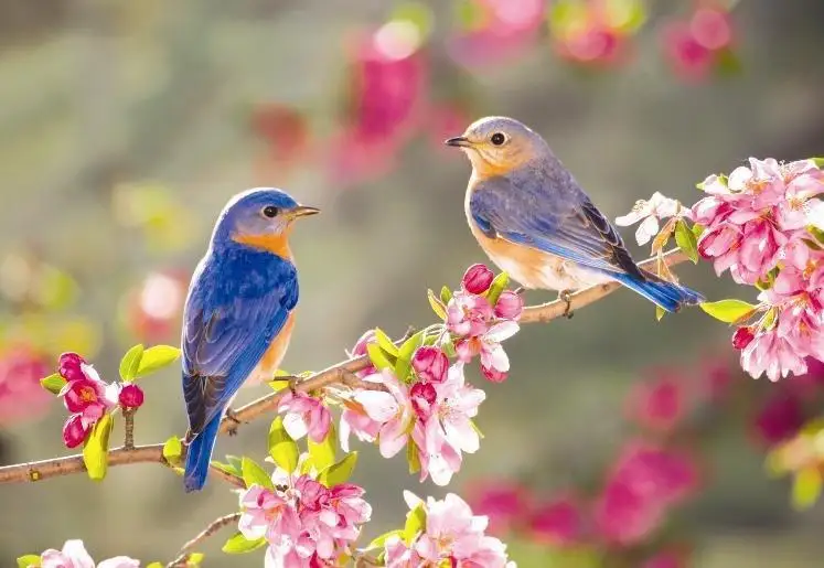 ساۋىردە قازاقستاندىقتاردىڭ ومىرىندە قانداي وزگەرىستەر بولادى؟