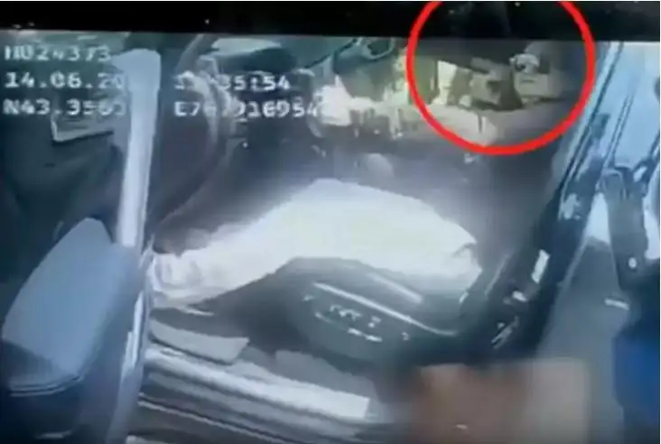 ەل نازارىن اۋدارعىسى كەلدى - تورەعالي تۋرالى وتاندىق جۇلدىزدار نە دەيدى