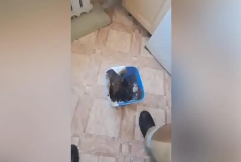 كىشكەنتاي بالانىڭ ويىنىنان وت شىقتى