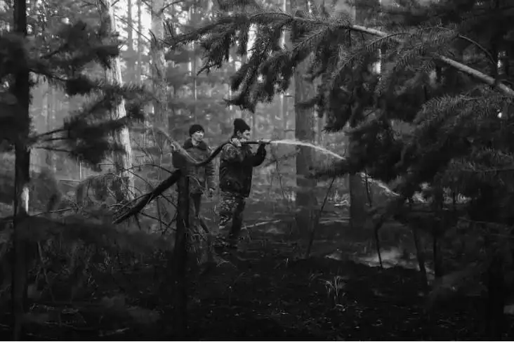 ورتەنگەن ورماندى قالاي قالپىنا كەلتىرۋگە بولادى - ماماننىڭ پىكىرى