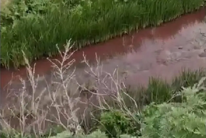 سايرامدىقتار ەگىستىكتى قويدىڭ قانى ارالاسقان سۋمەن سۋارۋعا ءماجبۇر - ۆيدەو