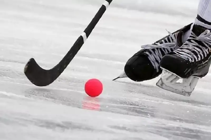 Қозоғистонлик спортчилар коптокли хоккей бўйича Россия чемпионатида юқори натижаларга эришди