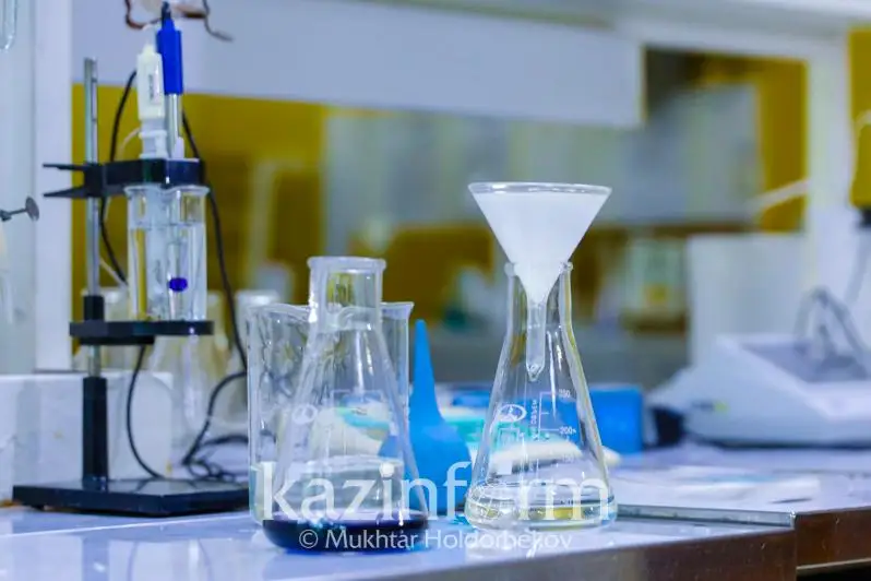 Стали известны результаты анализа воды на месте гибели рыбы в Бурабае