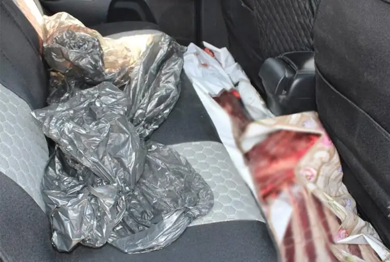 Марала незаконно отстрелили в СКО