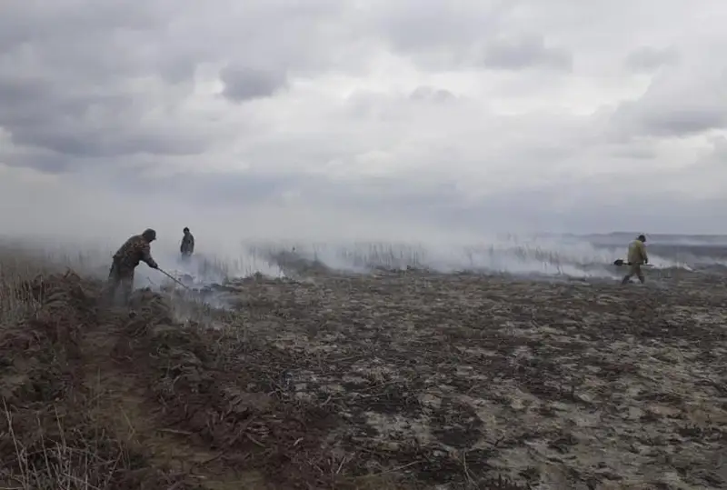 На побережье Каспийского моря выгорело три гектара тростника