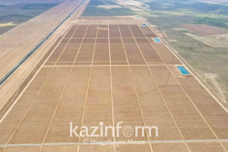 Неиспользуемые сельхозземли через суд возвращают в СКО