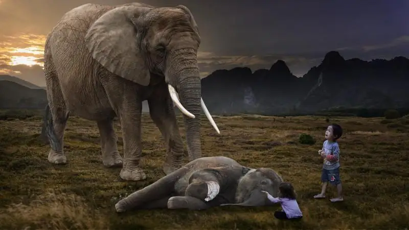 تايلاندتا پىلگە مىنبەڭىز: ونىڭ ءۇش سەبەبى بار