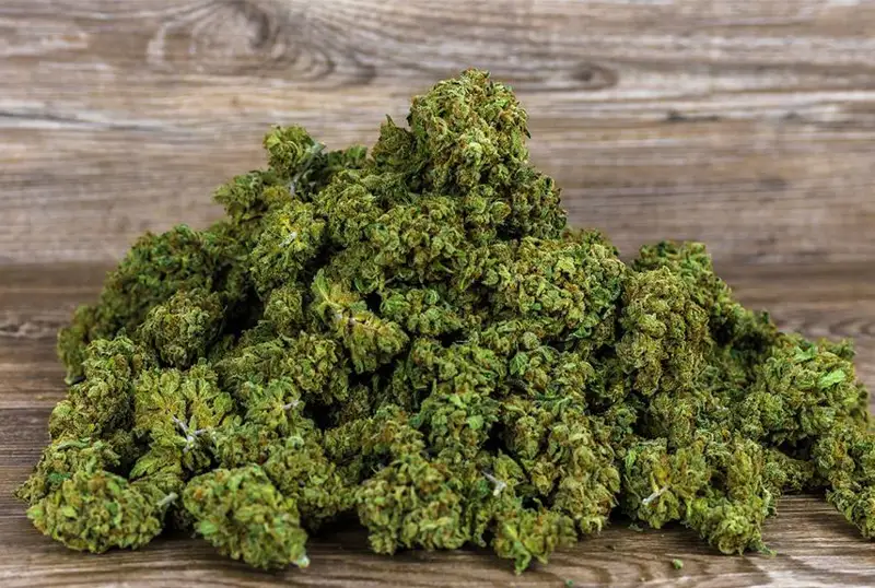 125 кустов конопли и высушенную марихуану изъяли у жителя Жамбылской области