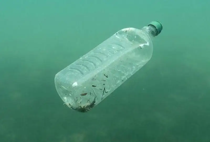 Обнаружены микробы, разлагающие пластик при низких температурах