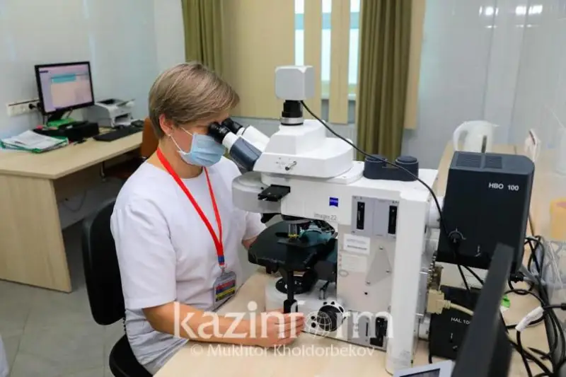 Сколько врачей уехало за рубеж из Казахстана – данные минздрава