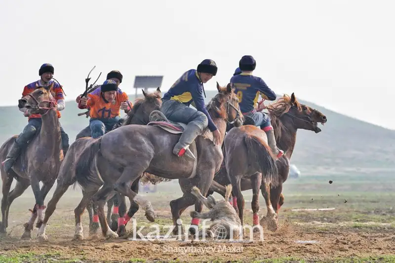 Соревнования по кокпару впервые провели в Амангельдинском районе Костанайской области