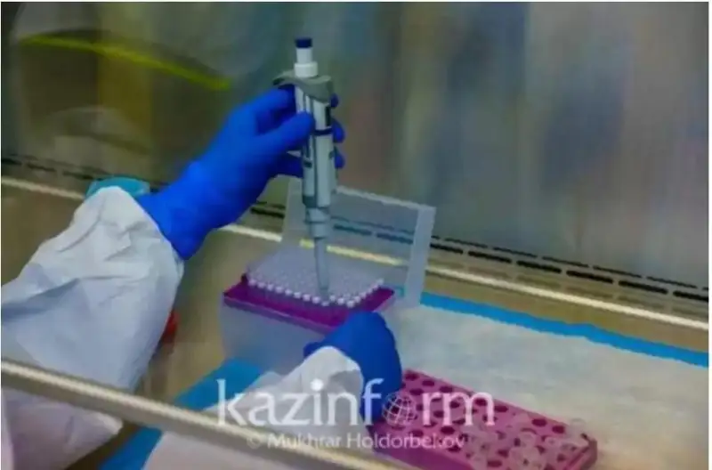 وتكەن تاۋلىكتە 82 ادامنان كوروناۆيرۋس انىقتالدى