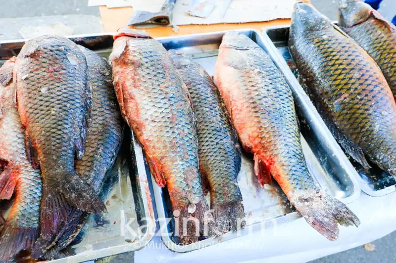 Запретить экспорт рыбы в охлажденном и замороженном виде могут в Казахстане