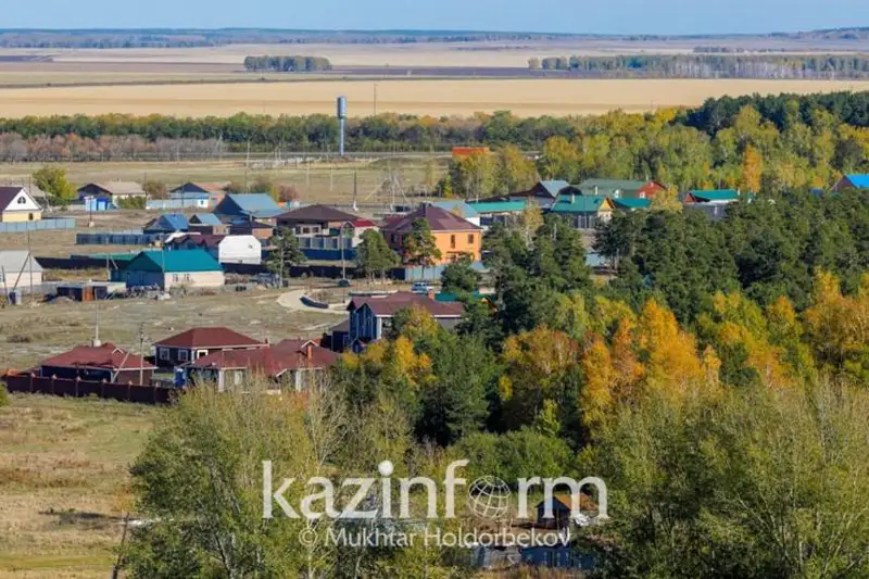 Как повысить доходы сельчан: Президент Казахстана озвучил новые подходы