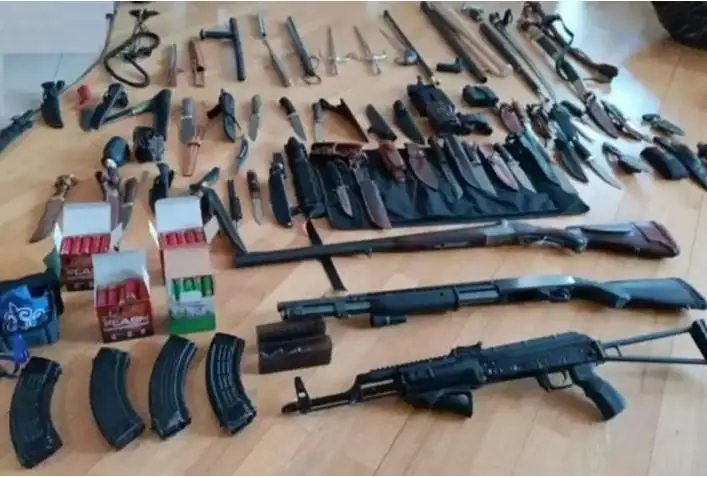 سيرەك كەزدەسەتىن قىمبات قارۋ-جاراقتىڭ ءتۇر-ءتۇرىن ساتىپ كەلگەن قىلمىستىق توپ ۇستالدى