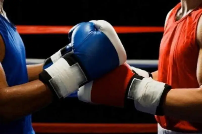 Казахстанские боксеры узнали позиции в обновленном рейтинге WBO