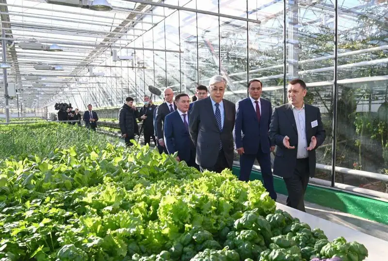 Подготовка спасателей и развитие АПК. Итоги поездки Президента в Акмолинскую область