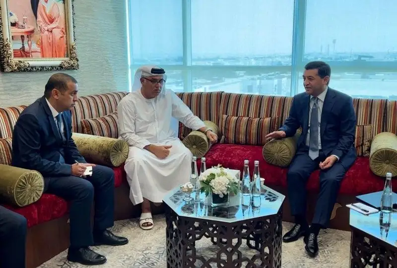 Узбекистан намерен внедрить опыт ОАЭ по вызыванию искусственных дождей