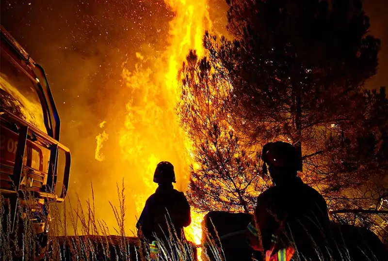 Жертвами беспрецедентных пожаров на Гавайях стали 36 человек