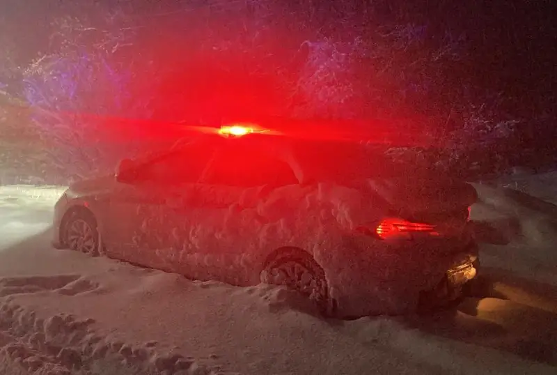 Пропавшую семью из семи человек нашли в Алматинской области