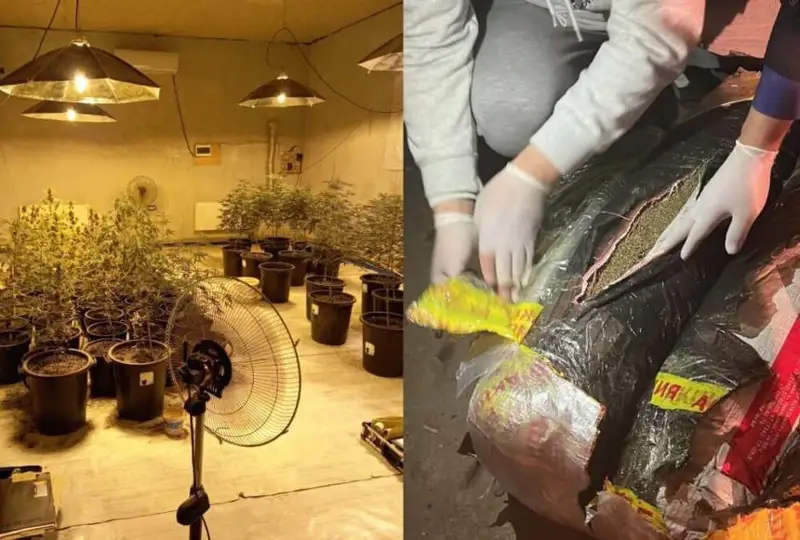 Более 170 кг наркотиков изъяли в Актюбинской области