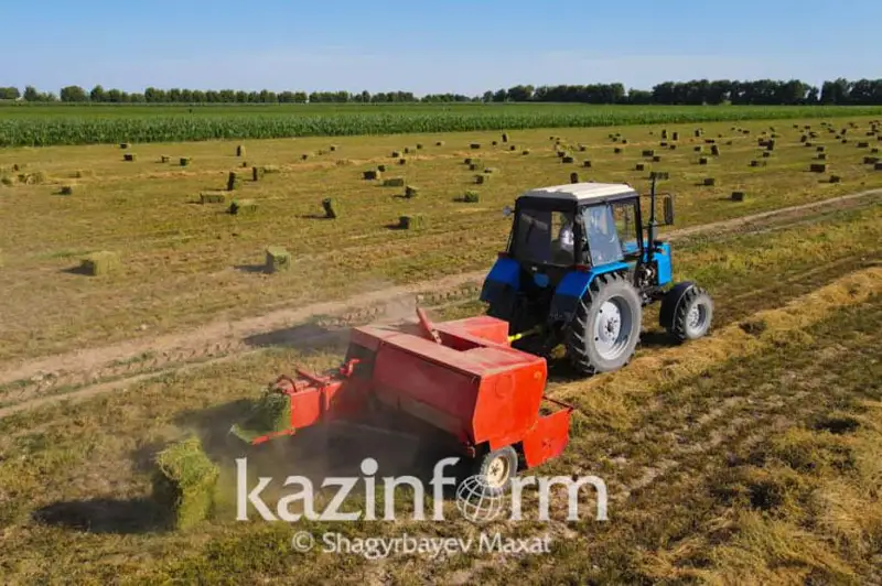 Не допустить роста цен на корма поручил Премьер-Министр