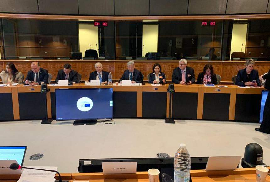 Constitutional reform processes in Kazakhstan, Mongolia discussed by European Parliament