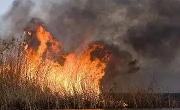 Возгорание камыша тушат в заповеднике Акмолинской области