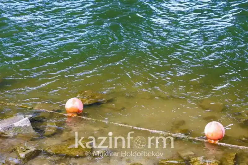 Memleket basshysy halyqaralyq jıynda sý salasyndaǵy qaýipsizdik máselesin kóterdi
