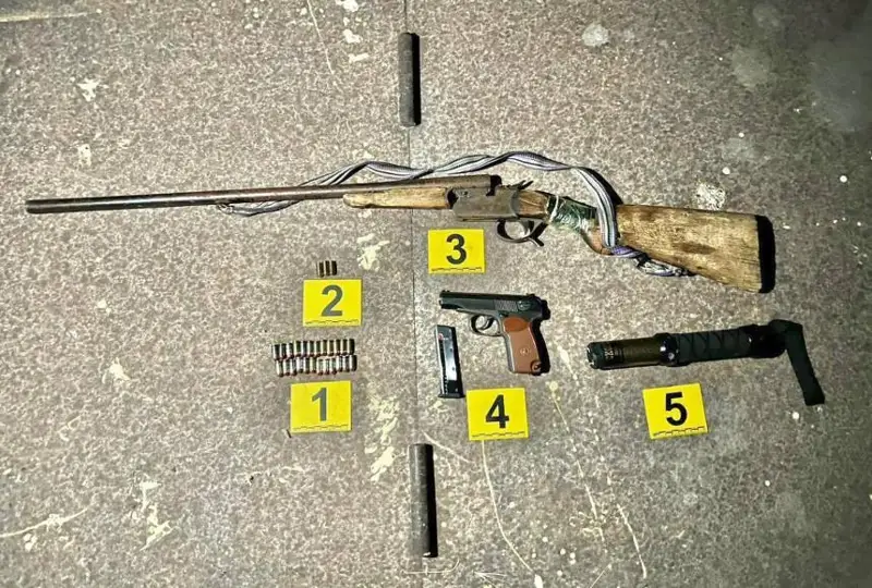 Жамбыл облысының полицейлері жыл басынан бері 210 қару тәркіледі