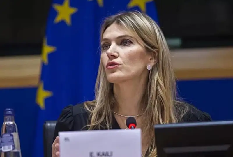 Дело о коррупции в Европарламенте лишилось главного следователя