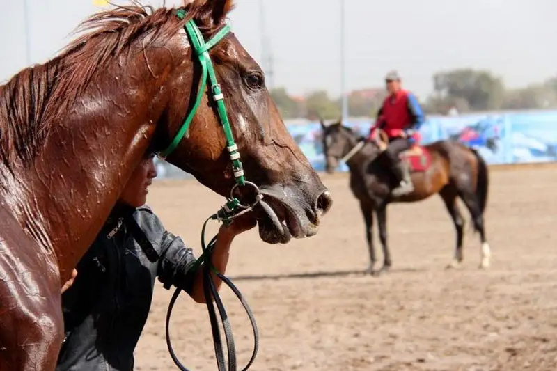 В Астане пройдет отборочный этап первенства страны по байге