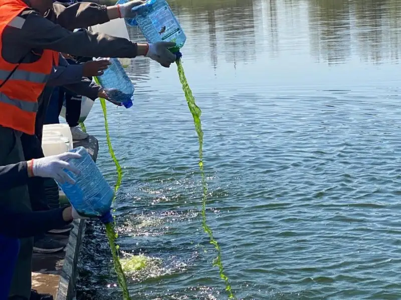 Проект по очистке рек Есиль и Акбулак запустили в столице