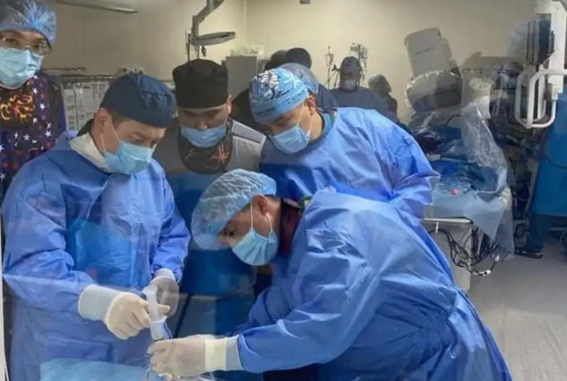 Впервые имплантировали эндоваскулярный митральный клапан в НИИ кардиологии и внутренних болезней в Алматы