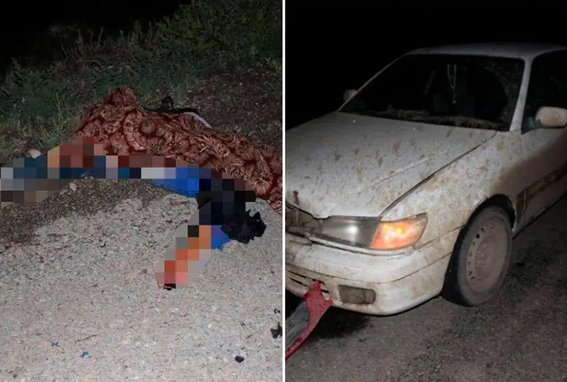 Abaı oblysynda jol boıynda otyrǵan adamdy kólik qaǵyp, mert qyldy