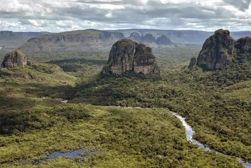 Четверо детей, в том числе младенец, найдены живыми в джунглях через 17 дней после авиакатастрофы в Колумбии