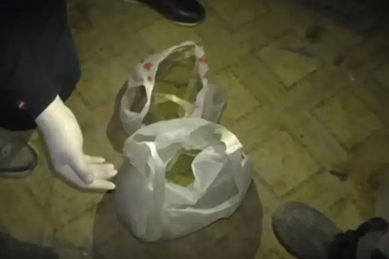 Гашиш в особо крупном размере изъяли у жителя Шуского района