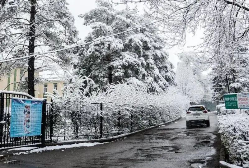 Снег выпал в Алматы